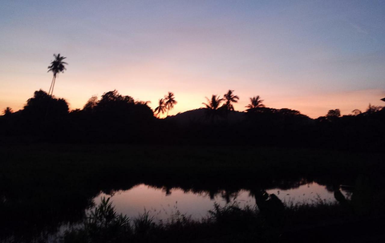 Tanabendang Banglos Pantai Cenang  Buitenkant foto