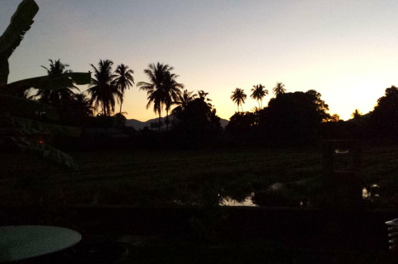 Tanabendang Banglos Pantai Cenang  Buitenkant foto